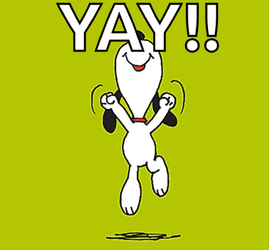 Yay GIF
