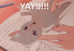 Yay Kissing Happy Cute Cat Anime Meme GIF