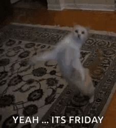 Yeah Friday Cat Dancing