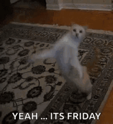 Yeah It's Friday Cat  GIF