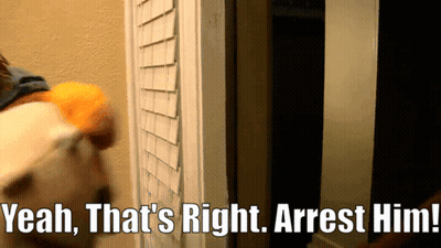 Yeah That's Right Arrest Him GIF