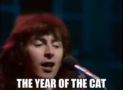 Year Of The Cat GIF