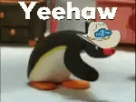 Yeehaw Animated Penguin GIF