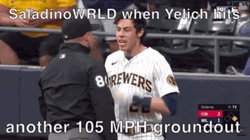 Yelich Argue With Referee GIF