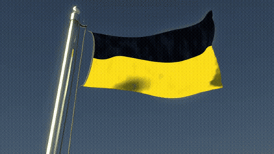 Yellow And Black Flag Waving GIF