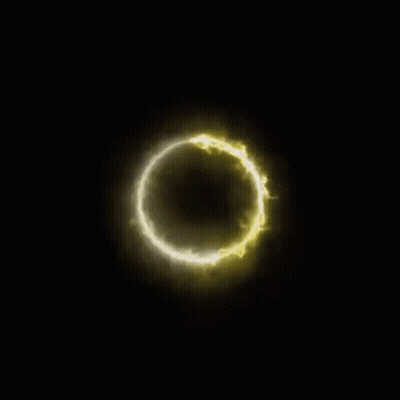 Yellow And Black Montana University Logo GIF
