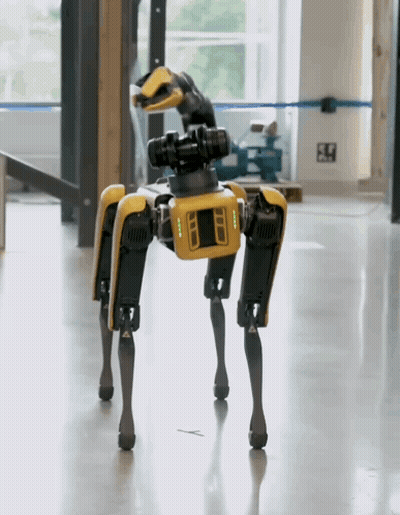 Yellow And Black Robot With Camera On Head GIF
