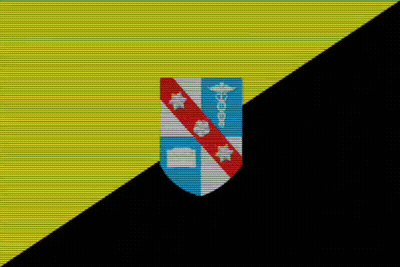 Yellow And Black Striped Background With Shield GIF