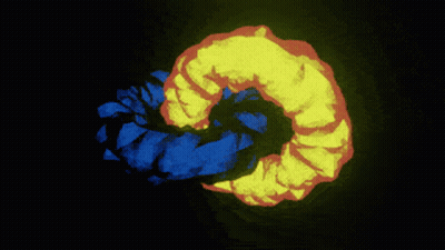 Yellow And Blue Worm On Black Background GIF