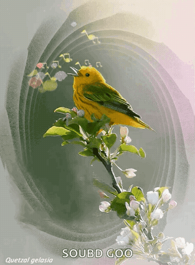 Yellow And Green Bird Saying Soubd Goo GIF