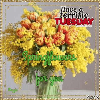 Yellow And Orange Bouquet Have A Terrific Tuesday Springflowers For You GIF
