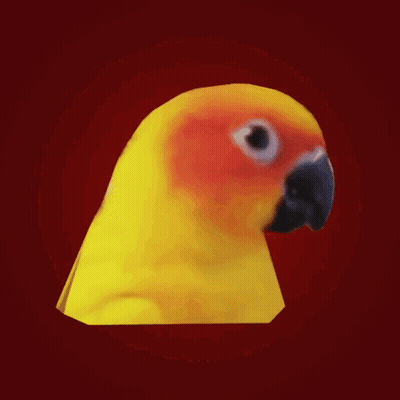Yellow And Orange Parrot With Black Beak GIF