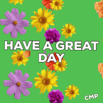 Yellow And Purple Flowers Have A Great Day GIF