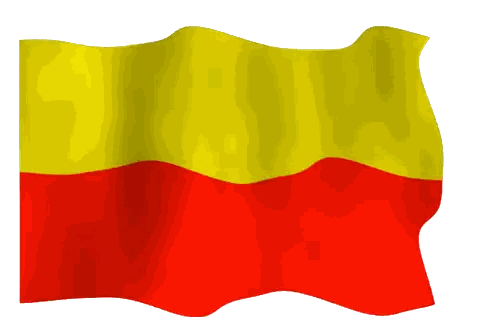 Yellow And Red Flag Sticker