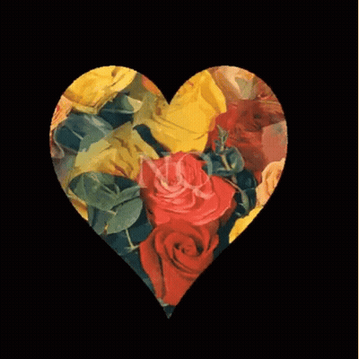 Yellow And Red Rose Heart With Letter N GIF