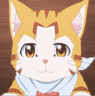 Yellow And White Cat With Scarf GIF