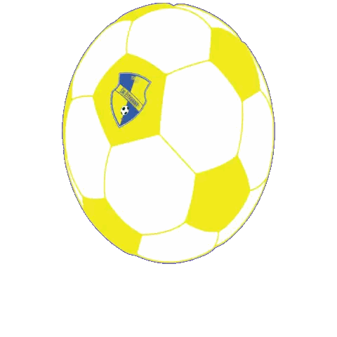 Yellow And White Soccer Ball With Blue S.C. Leuven Emblem Sticker