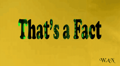 Yellow Background Saying That's A Fact In Green GIF