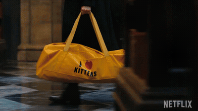 Yellow Bag Saying I Love Kittens GIF