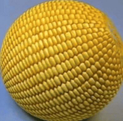 Yellow Ball Resembling Corn On The Cob GIF