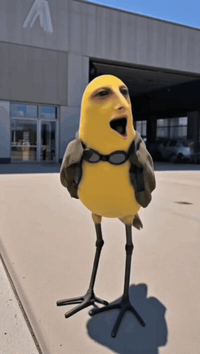 Yellow Bird In Goggles And Jacket At Building With Letter A GIF