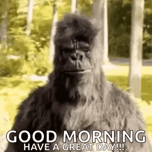 Yellow Bird Sitting On Branch Love Ya Good Morning GIF