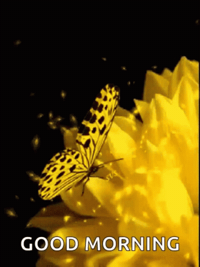Yellow Butterfly On Flower Saying Good Morning GIF