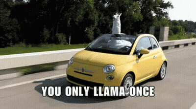 Yellow Car With Llama You Only Llama Once GIF