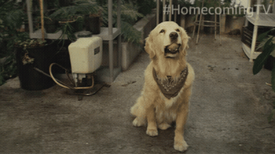 Yellow Cartoon Character Close Up GIF