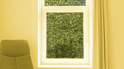 Yellow Chair In Front Of Window With Bush GIF