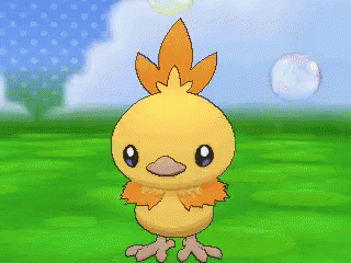 Yellow Chicken With Orange Feathers GIF