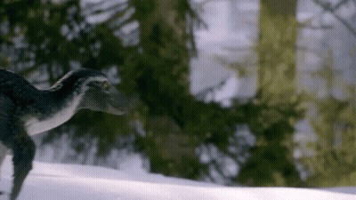 Yellow Chicken With Wings And Smiley Face GIF
