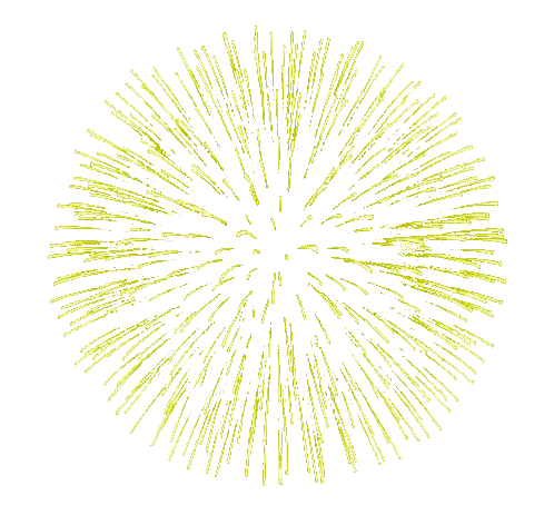 Yellow Circle Sticker