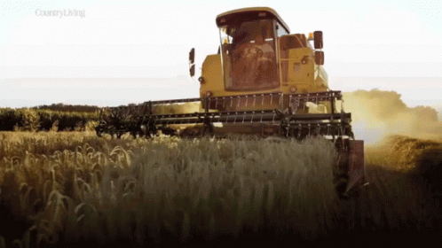 Yellow Combine Harvester In Field Country Living GIF