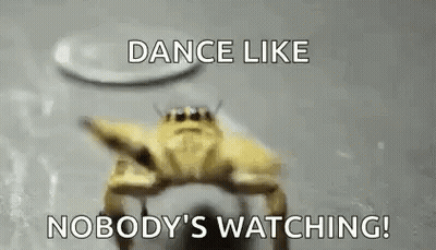 Yellow Crab Dancing In Water GIF