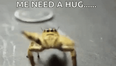 Yellow Crab Saying Me Need A Hug GIF