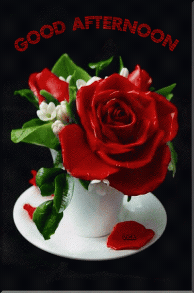 Yellow Daisies In White Vase Saying Good Afternoon GIF