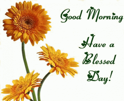 Yellow Daisy Good Morning Have A Blessed Day GIF