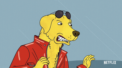 Yellow Dog In Red Jacket With Netflix Logo GIF