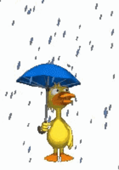 Yellow Duck Holding Blue Umbrella In Rain GIF