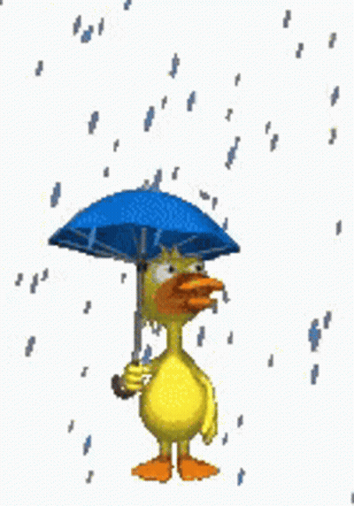Yellow Duck Holding Umbrella In Rain GIF