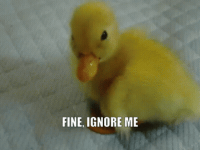 Yellow Duck On Blanket Saying Fine Ignore Me GIF