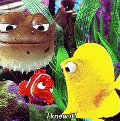 Yellow Fish I Knew It GIF