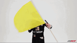 Yellow Flag Caution GIF