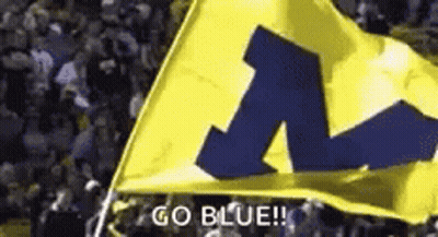 Yellow Flag With Blue M Waved In Crowd GIF