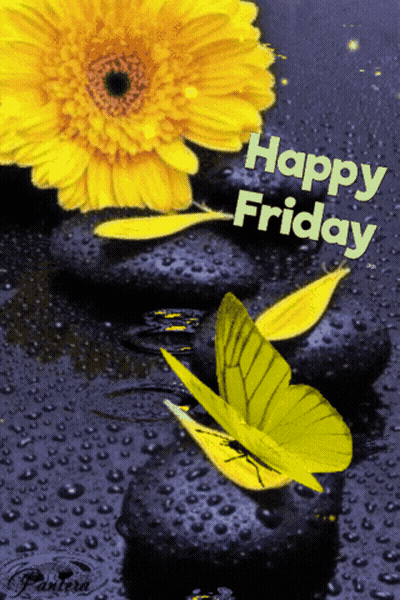 Yellow Flower And Butterflies Happy Friday GIF