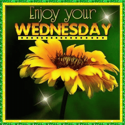 Yellow Flower Enjoy Your Wednesday GIF