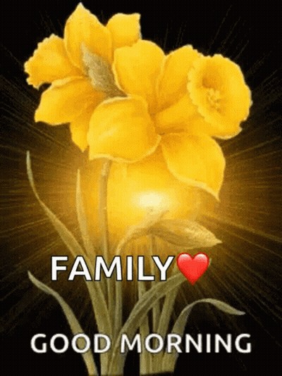 Yellow Flower Family Good Morning GIF
