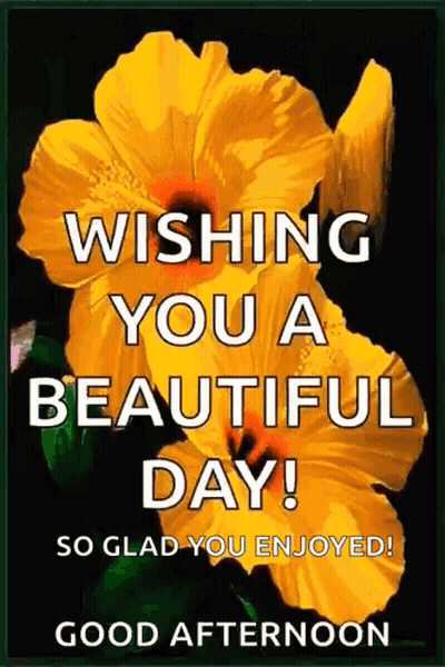 Yellow Flower Wishing You A Beautiful Day GIF