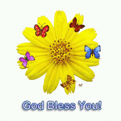 Yellow Flower With Butterflies God Bless You GIF
